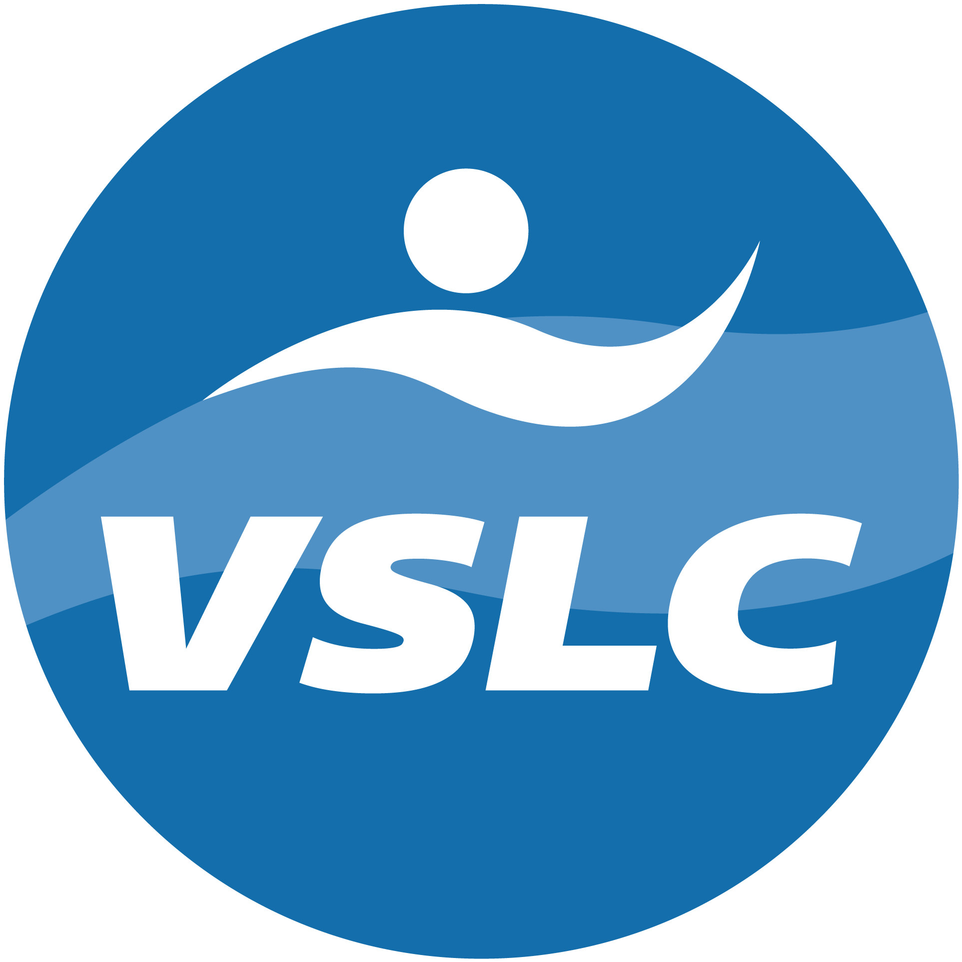 The Vietnam Swimming & Lifesaving Company - VSLC