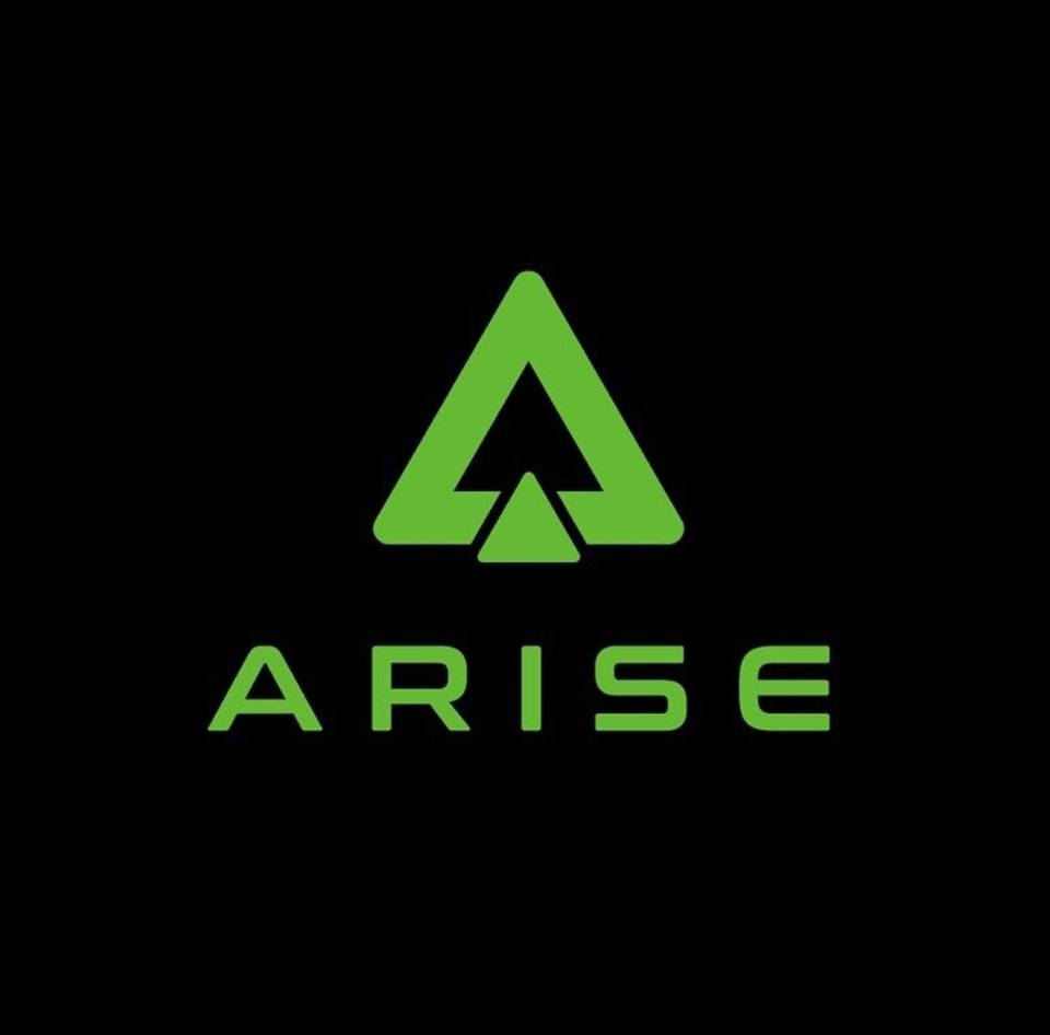 ARISE Agency