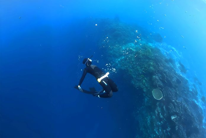 Da Nang Freediving - Napaling Discovery Experience Underwater (2)